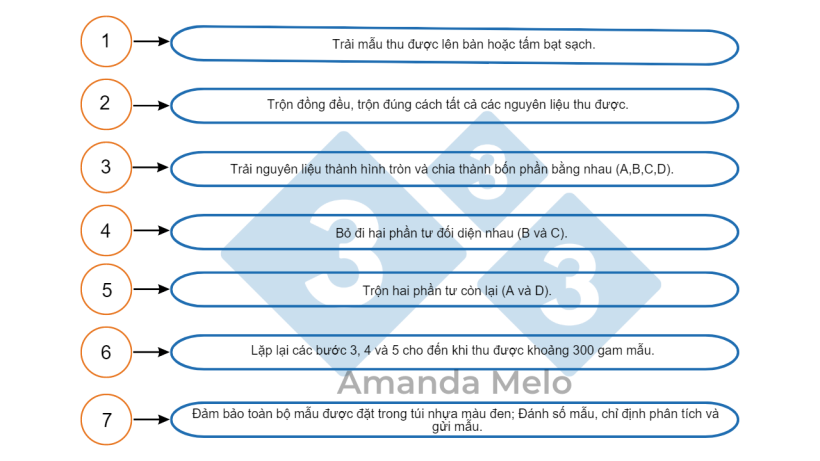 Hình 4: Các bước chia một phần tư mẫu.