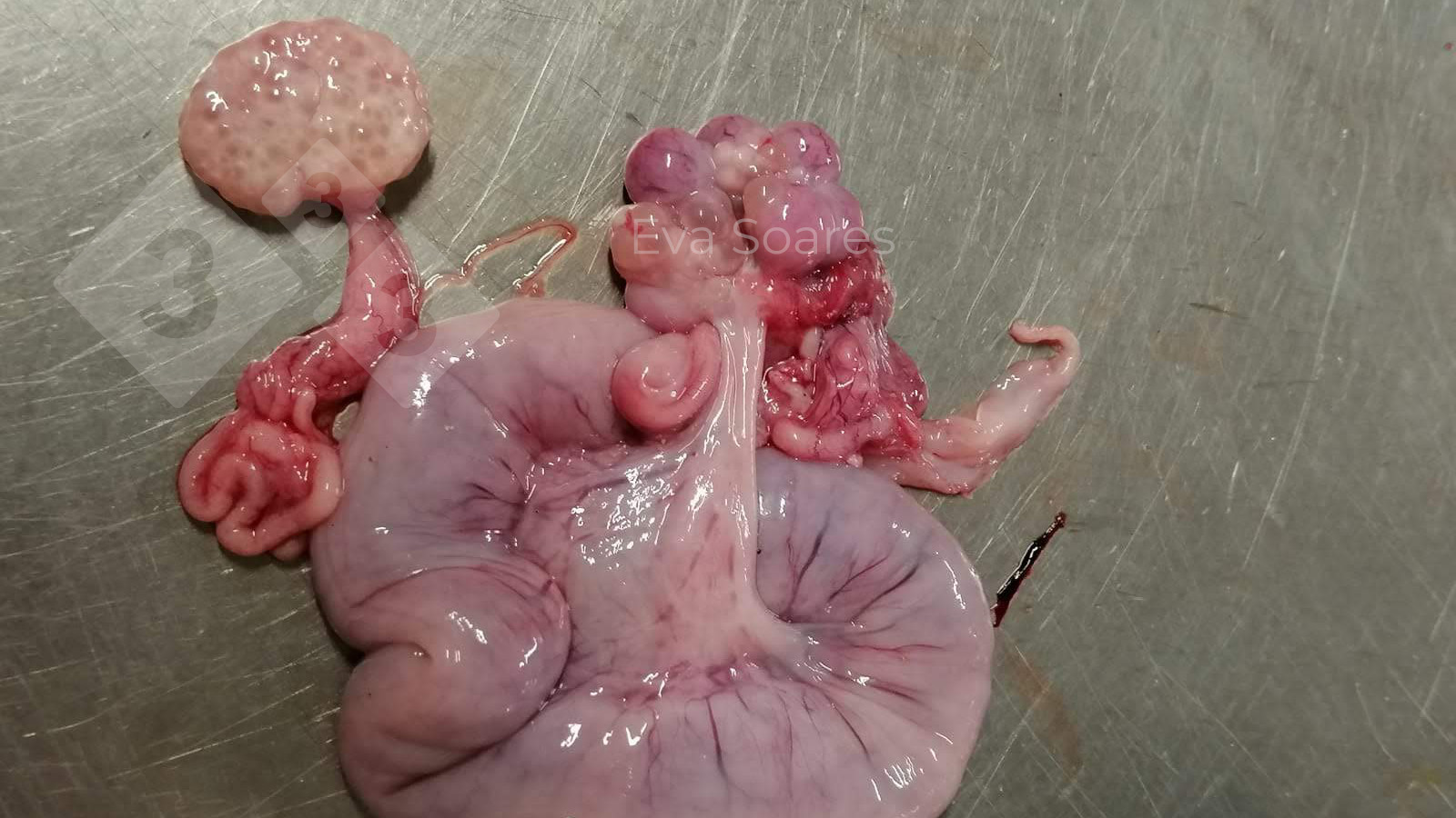 Foto de la semana