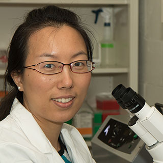 Wei Zhang