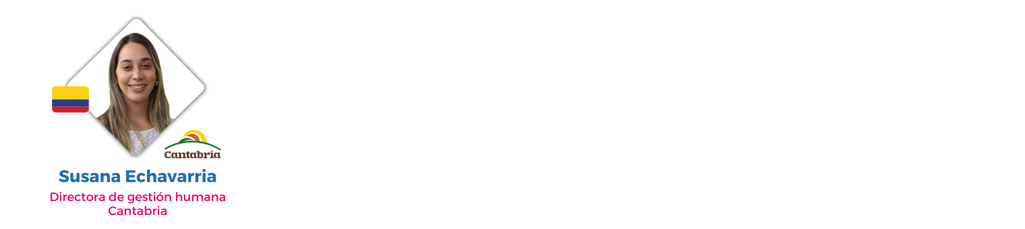 LidEXP04.png