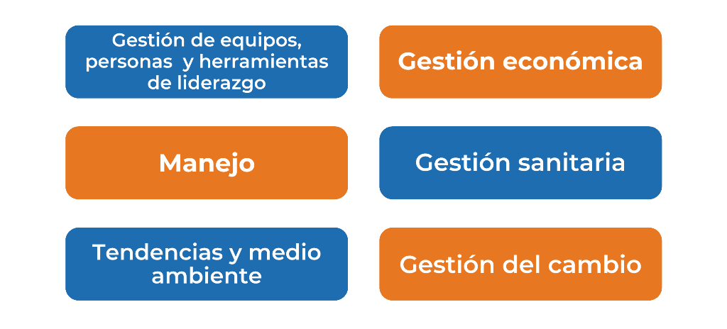 contenido.png
