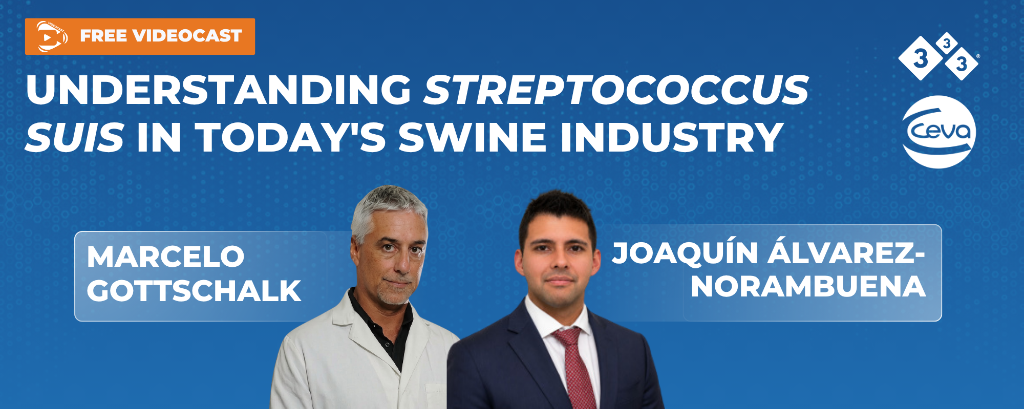 Understanding Streptococcus suis in Today's Swine Industry – Marcelo Gottschalk and Joaquín Álvarez-Norambuena