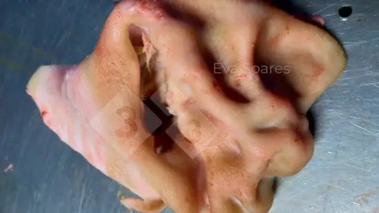 Semaine du 28-Jan-2026