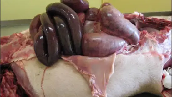 Settimana del 01-Apr-2026