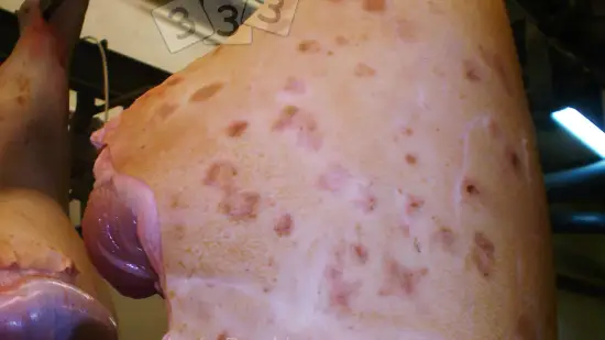 Tydzień 20-sty-2026