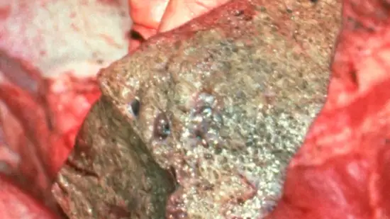 Tydzień 06-sty-2026