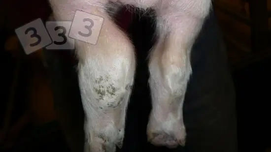 Tydzień 24-mar-2026