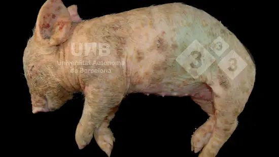 Semana de 25-Mar-2026