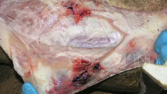 Semana de 19-Mar-2026