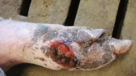 Tuần của 20-Th2-2026