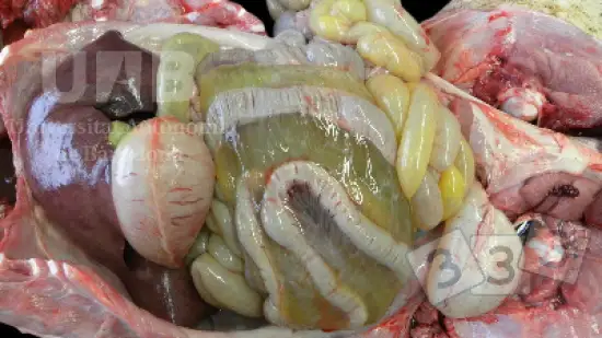 Tuần của 10-Th4-2026