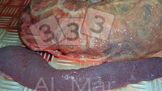 Tuần của 16-Th10-2026