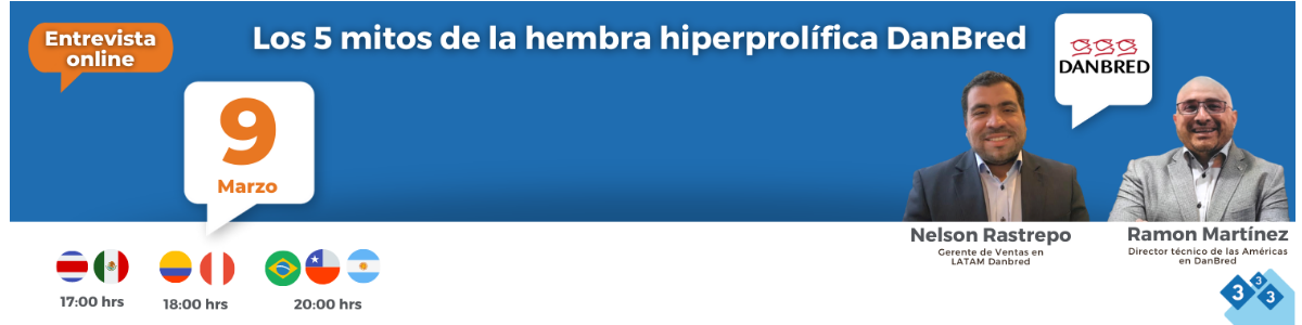 Los 5 mitos de la hembra hiperprolífica DanBred