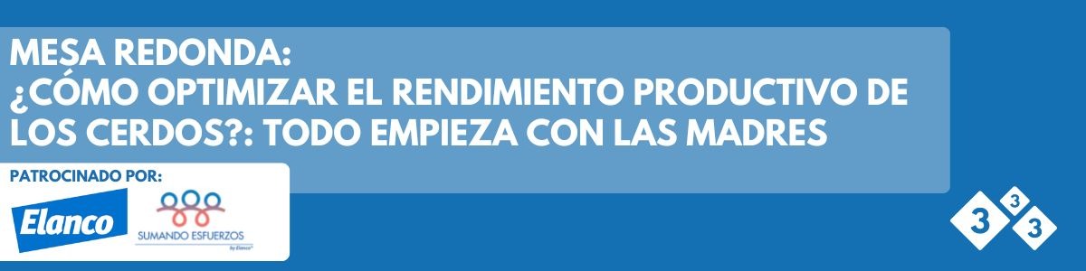 ¿Cómo optimizar el rendimiento productivo de los cerdos?: Todo empieza con las madres