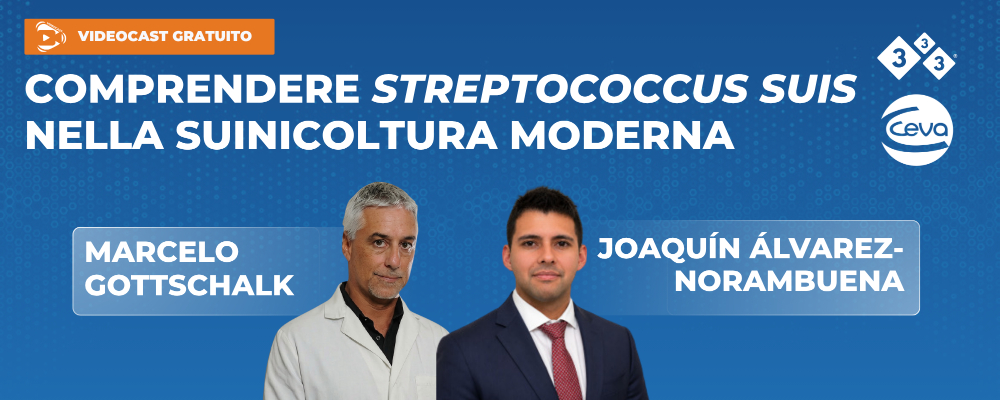Comprendere Streptococcus suis nella suinicoltura moderna – Marcelo Gottschalk e Joaquín Álvarez-Norambuena