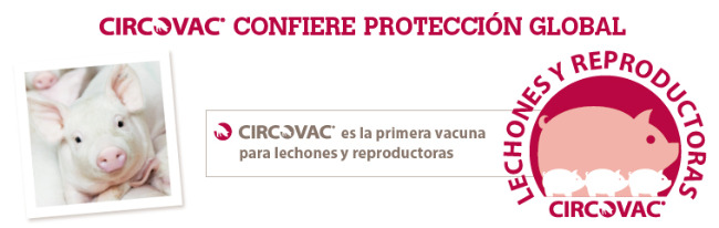 Circovac confiere proteccion total