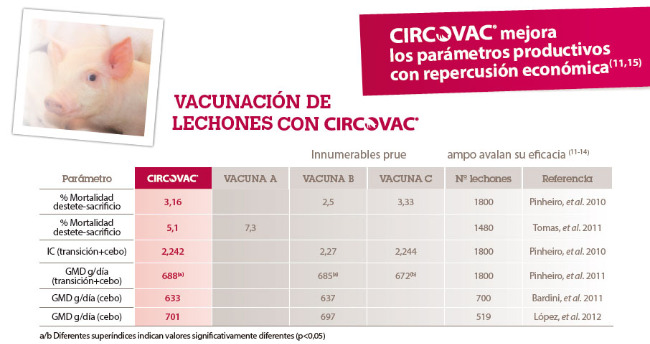 vacunacion-lechones