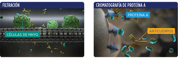 Filtración y cromatografía