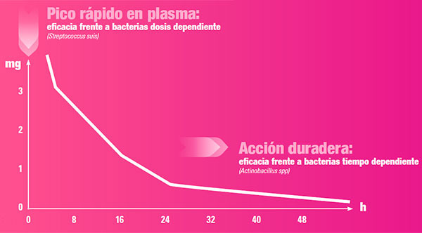 EFICACIA RÁPIDA Y DE LARGA DURACIÓN