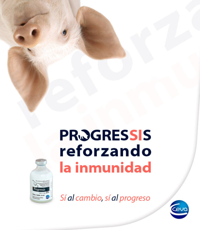 Progressis