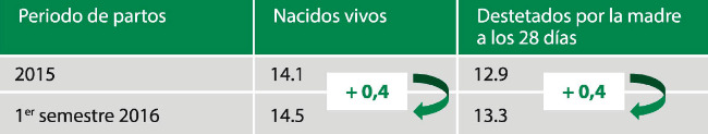 Progreso Naïma