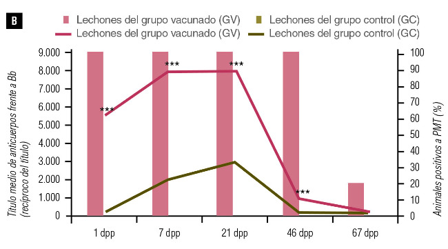 porcentaje de animales seropositivos a Pasteurella multocida