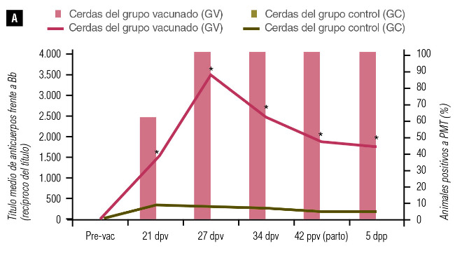 Título medio de anticuerpos frente a Bordetella bronchiseptica