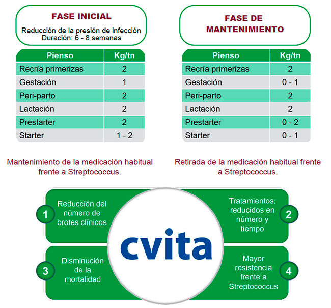 Cvita