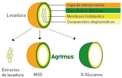 Proceso de fabricación de AgriMOS