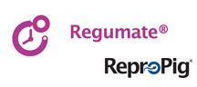 ReproPig: Regumate<sup>&reg;</sup> 