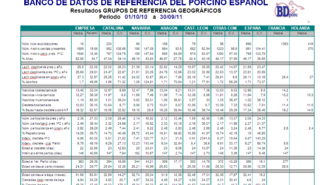 Servicios BDporc