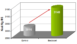 Bactocell: digestibilidad