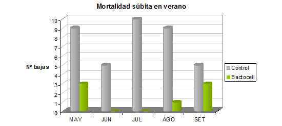 Bactocell: mortalidad verano