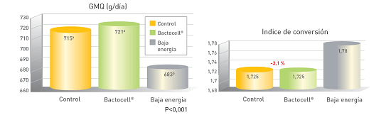 Bactocell: pruebas campo