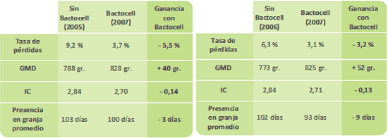 Bactocell: pruebas engorde