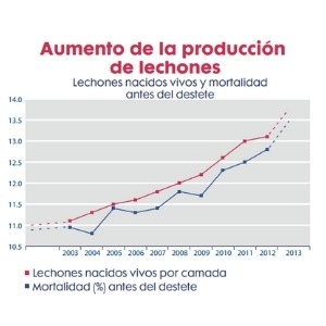 grafico 1