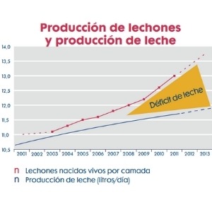 grafico 5