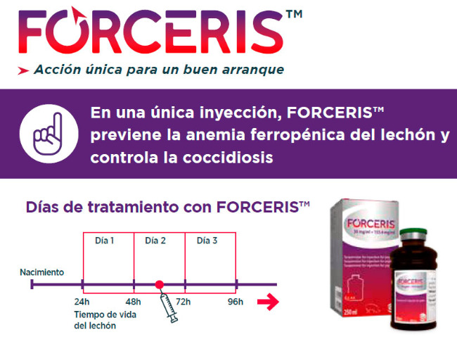 Forceris: accion unica para un buen arranque