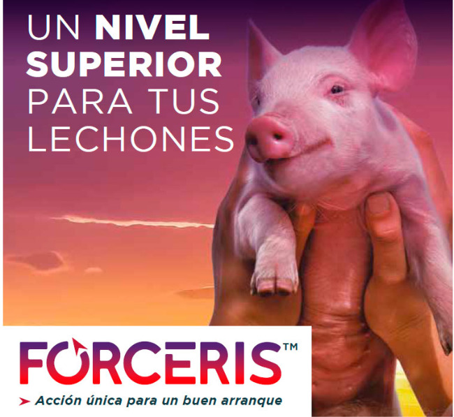 forceris