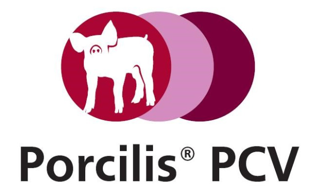  Porcilis PCV