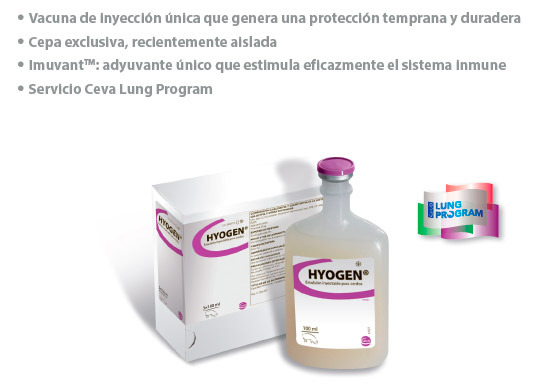 Hyogen, Un nuevo estilo frente a Mycoplasma hyopneumoniae