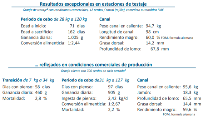 Resultados