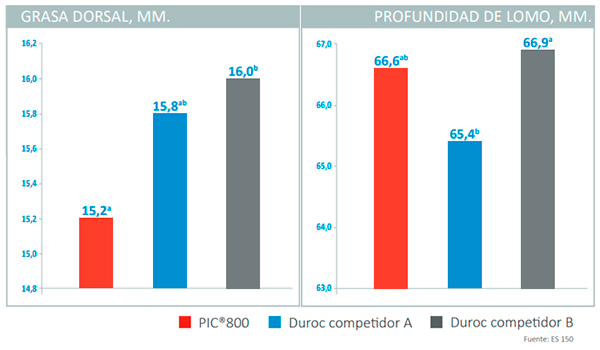 Grafica4