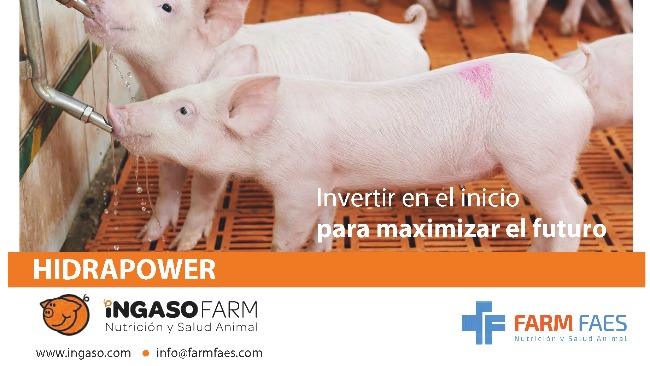 INGASO HIDRAPOWER INGASO HIDRAPOWER