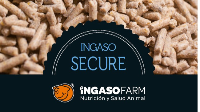 INGASO SECURE
