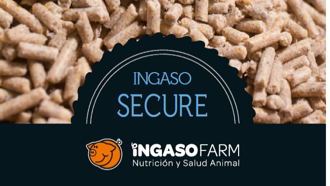 INGASO SECURE INGASO SECURE