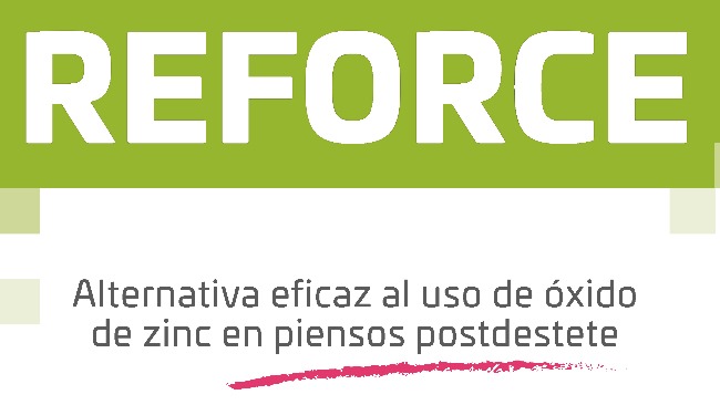 INGASO REFORCE INGASO REFORCE