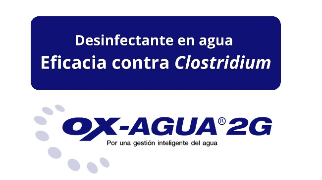 OX-AGUA 2G: eficacia contra Clostridium