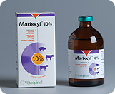 Marbocyl 10 %