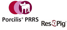 Respig: Porcilis<sup>®</sup> PRRS Respig: Porcilis<sup>®</sup> PRRS